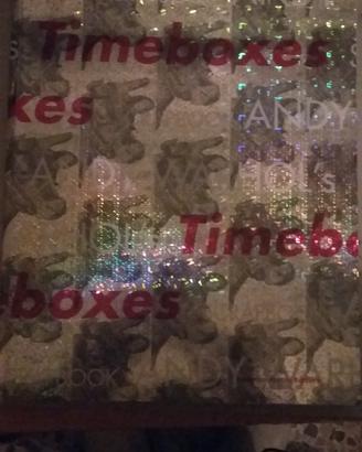 Andy Warhol timeboxes