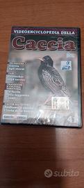 caccia