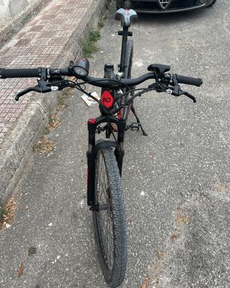 Bicicletta elettrica