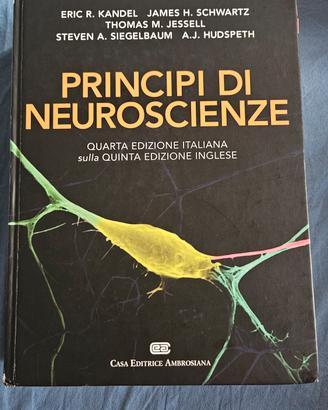 Principi di neuoscenze   Kandel