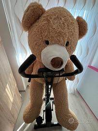 BICICLETTA da FITNESS