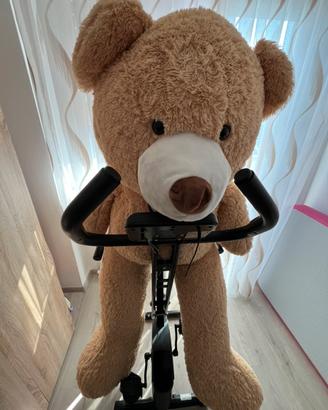 BICICLETTA da FITNESS