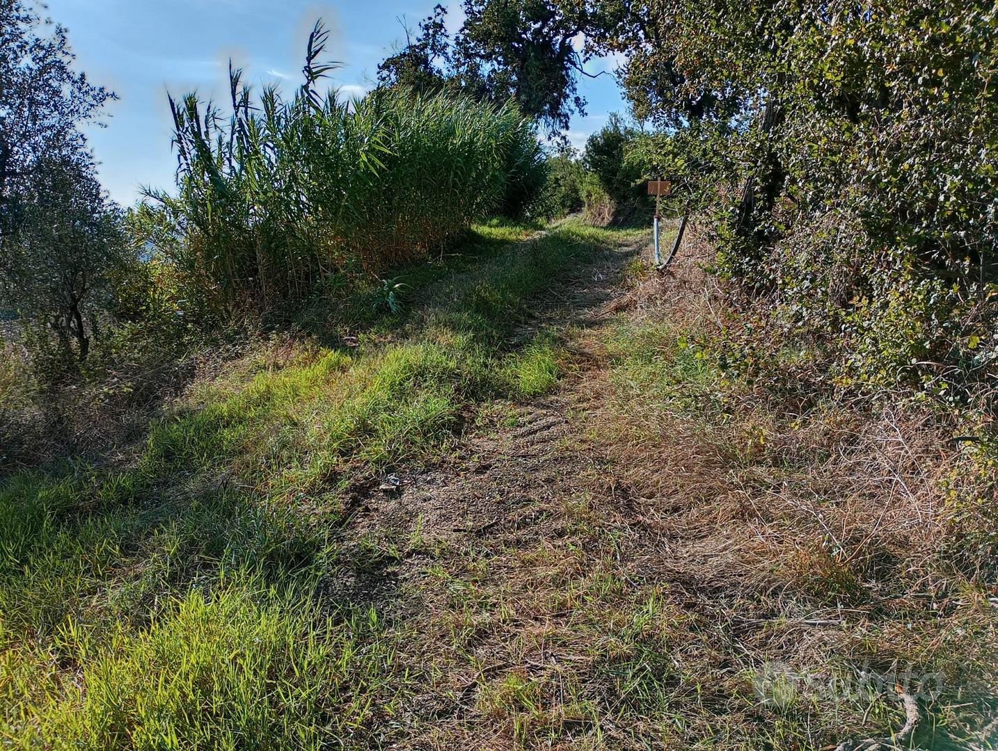 Terreno agricolo seminativo - Vista 3