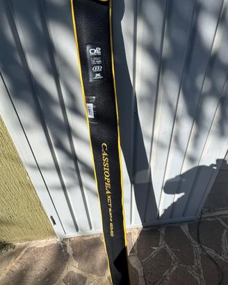 Canna Trabucco cassiopea xtc