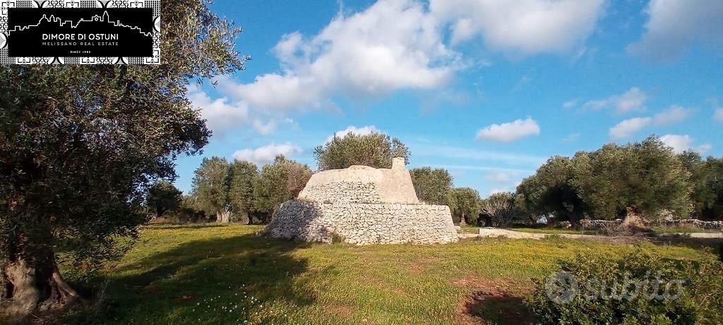 LAMIA DELL' ULIVO con TERRENO 7000mq - OSTUNI - Vista 5