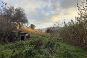 TER. RESIDENZIALE A CASTELNUOVO DI PORTO