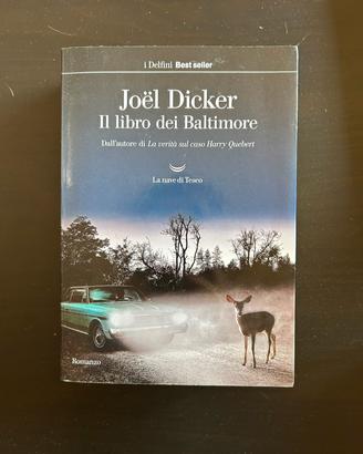 Libro - il libro dei baltimore