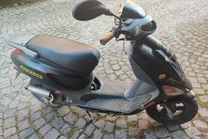 Atala skeggia