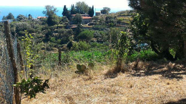 Vendita terreno - Vista 5