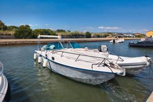 Barracuda 25
