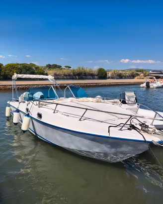 Barracuda 25