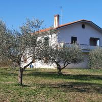 Porzione di Casale di Campagna da ristrutturare