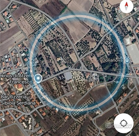 Oliveto con una 30a di piante grandi