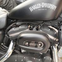 Harley Davison  883