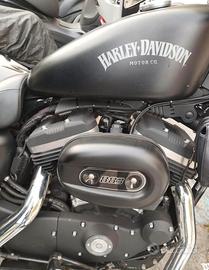 Harley Davison  883