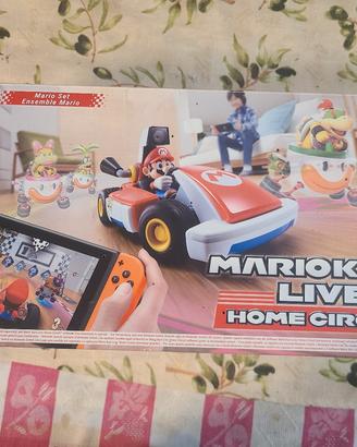 Mariokart live home cicuit