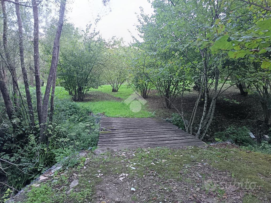TER. AGRICOLO A GROTTOLELLA - Vista 3