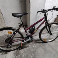 MTB zenith