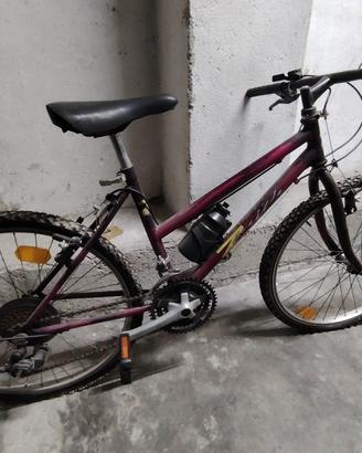MTB zenith
