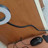 Lampada da scrivania con mollettone