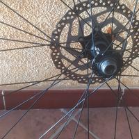 Cerchi Mtb da 29