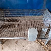 Gabbia per conigli,  pulcini