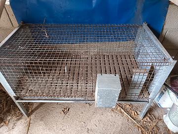 Gabbia per conigli,  pulcini