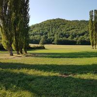 Vendita prato agricolo