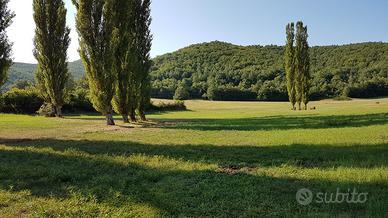 Vendita prato agricolo