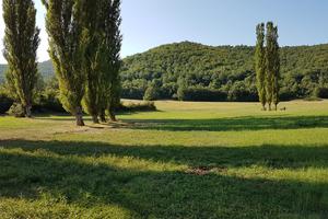 Vendita prato agricolo