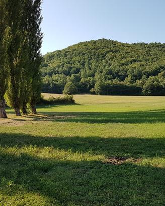 Vendita prato agricolo