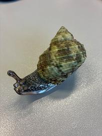 Conchiglia natutale com supporto chiocciolina in a