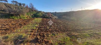 TER. AGRICOLO A ALCAMO