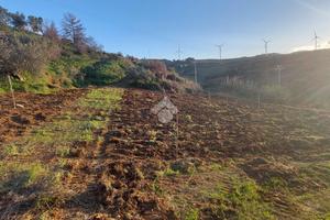 TER. AGRICOLO A ALCAMO