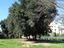 Immagine 29