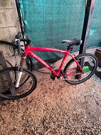 bici 26