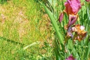 Villetta a Solto Collina con terreno