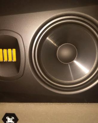casse monitor studio adam audio T7V