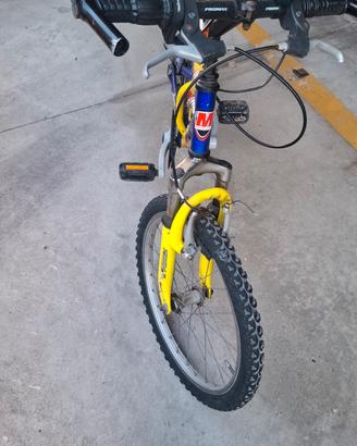 bici 20 rockraider 