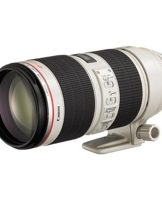 Canon 70-200 f2.8