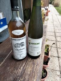 vino da collezione 