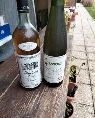 vino da collezione 