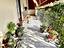 Immagine 19