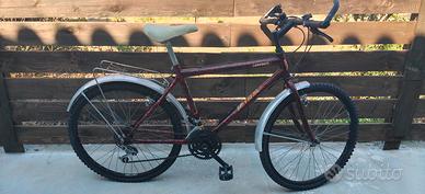 Mountain bike ragazzo