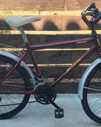Mountain bike ragazzo