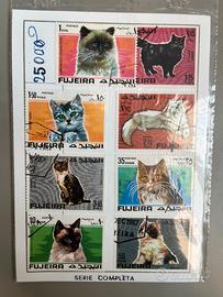 Serie francobolli gatti