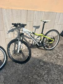 Lee Cougan Nitro 29” + doppia coppia di ruote
