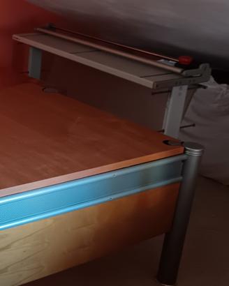 taglierina professionale  trim 