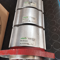 Pompa idraulica mini escavatore