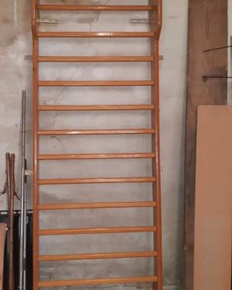 spalliera in legno pioppo  x sport 